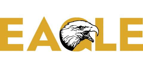 Dollywood Bald Eagle Nest Cams | 24/7 Bald Eagle Nest Cams at Dollywood!